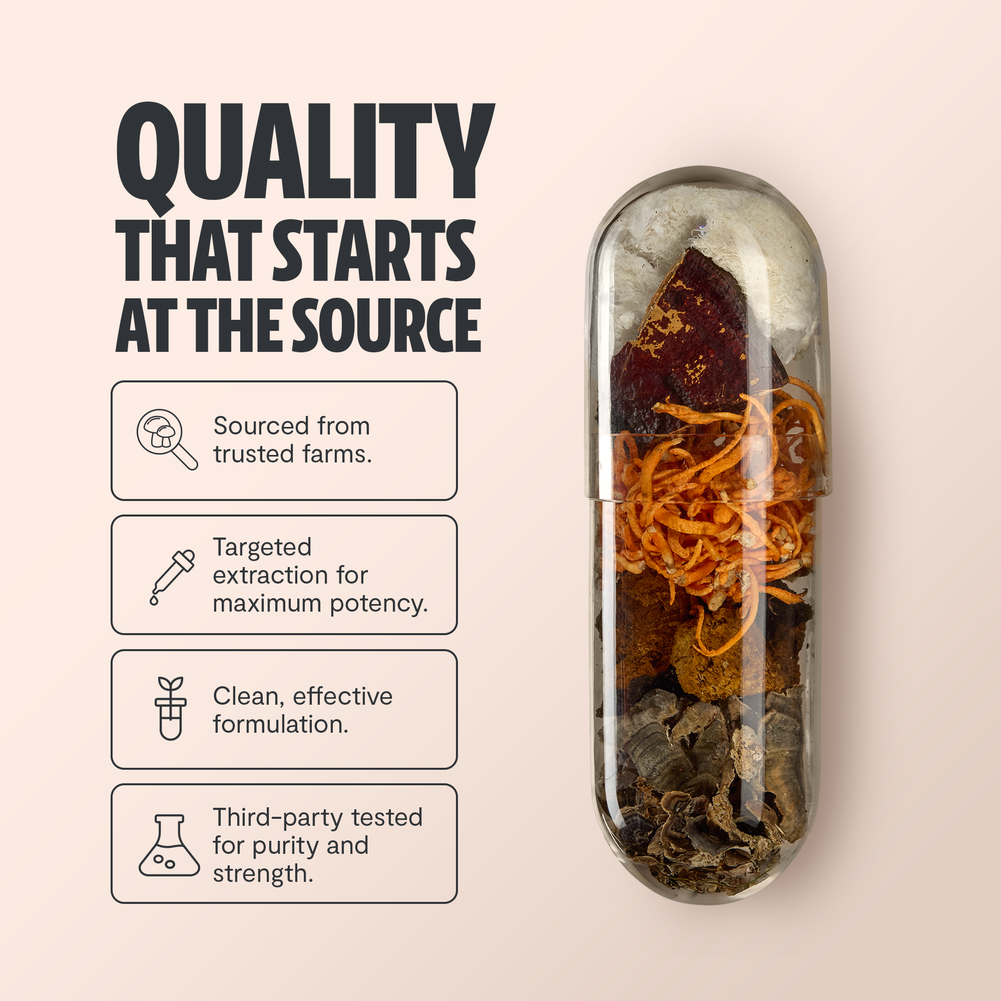 Organic Mushroom Complex Supplement Capsules